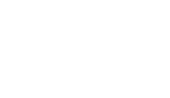 Telio Infrastructure telecommunications field operations